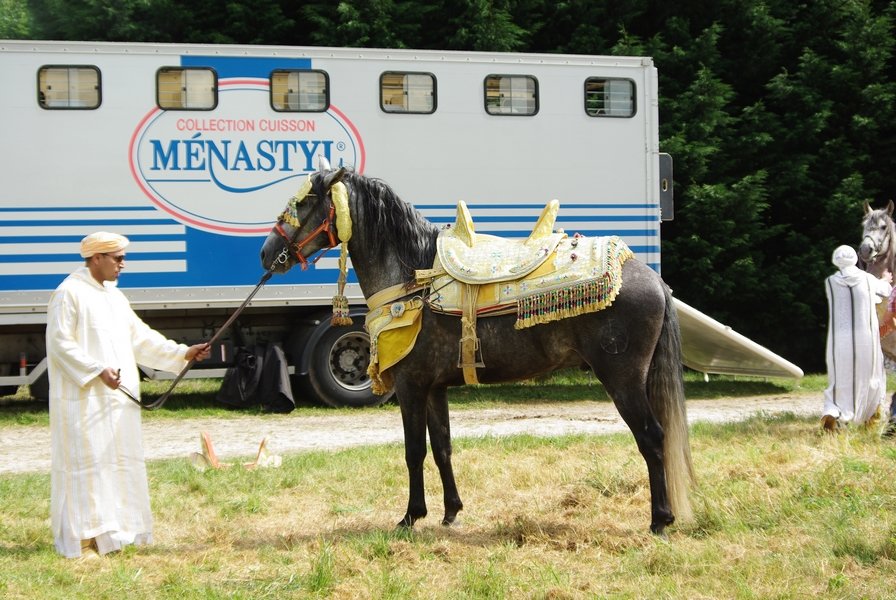 Le Moussem des Cultures 2008 123.jpg